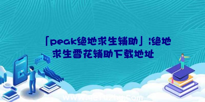 「peak绝地求生辅助」|绝地求生雪花辅助下载地址